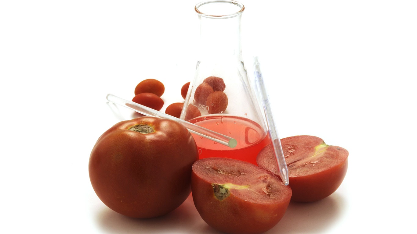 Pomodori in laboratorio
